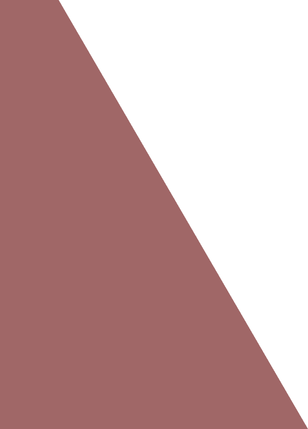 Vector 1