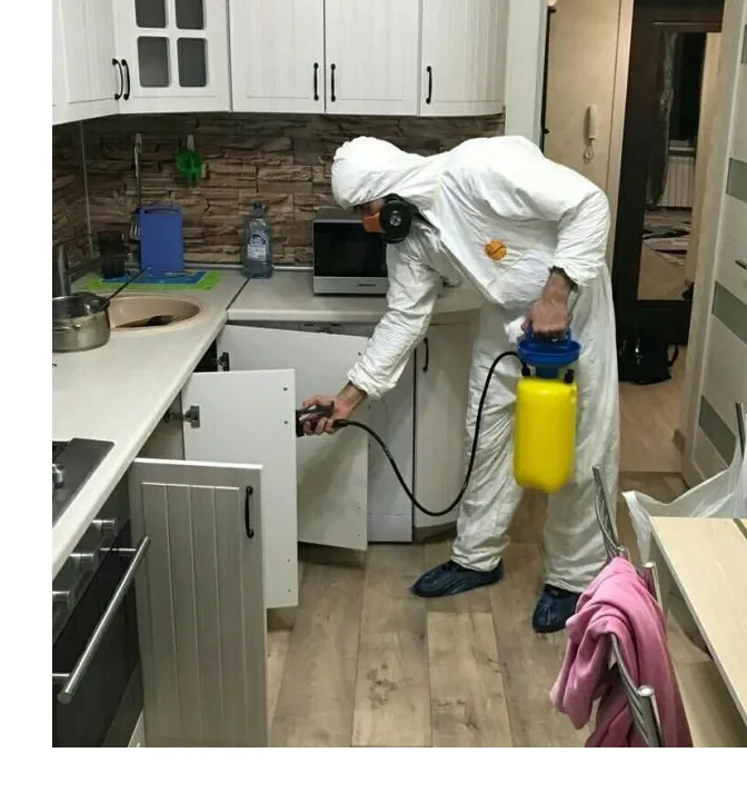 Cleaning Guy